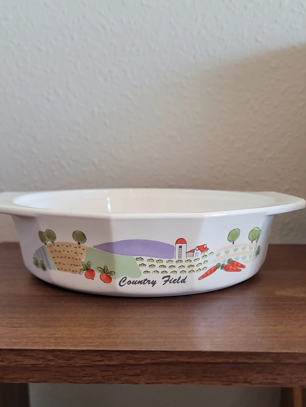 Vintage Mikasa Fire & Ice Country Field Baking Dish AA007 Japan Casserole
